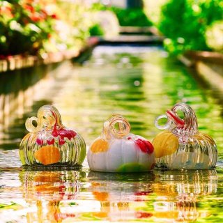 Pumpkin Patch Saturday Sale